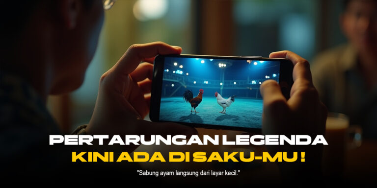 SABUNG AYAM SV388: Jenis Ayam, Odds, dan Provider Terpercaya