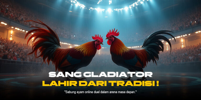 Mengenal Ayam Bangkok di Dunia Sabung Ayam SV388