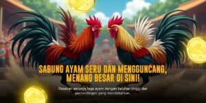 Jenis Ayam Petarung Terbaik untuk Sabung Ayam SV388