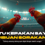 Sabung Ayam: Menguak Fenomena, Budaya, dan Kontroversinya dalam Dunia Modern