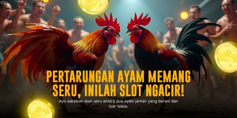 Mengenal Sabung Ayam Bangkok: Raja Adu Ayam Legendaris
